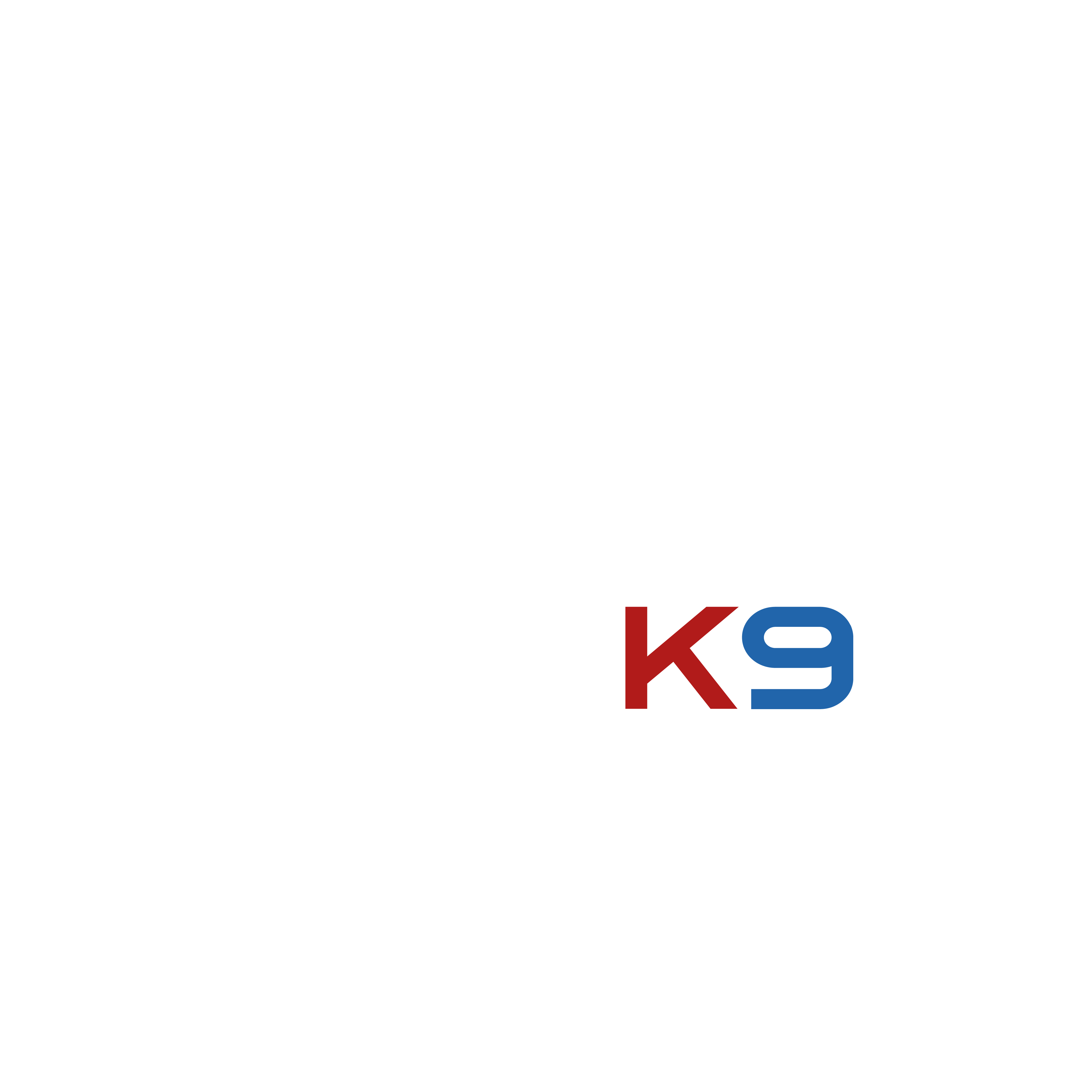 ACSI-K9